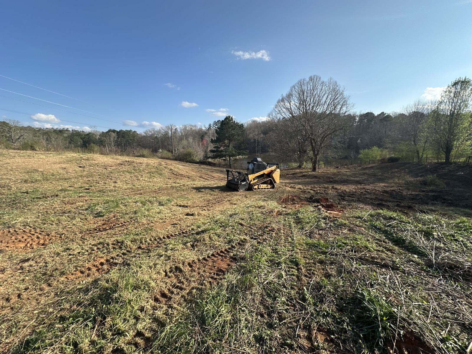 Cleared and mulched acreage at golden hour in West Georgia