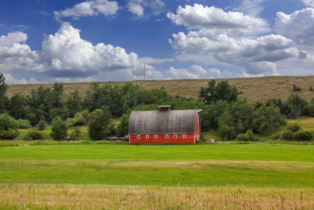 Red barn on a green farm field in the countryside