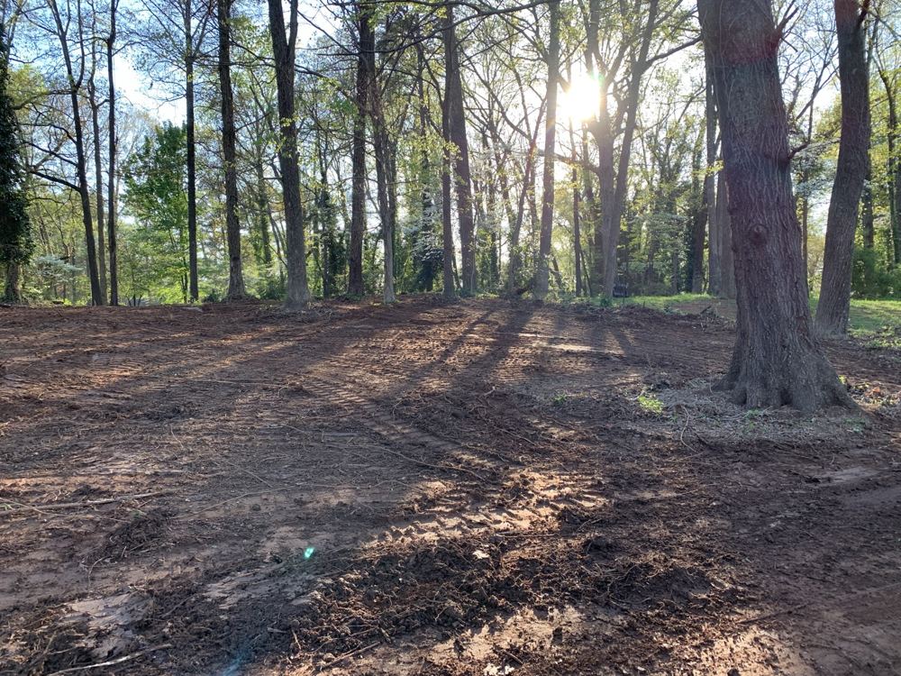 Land clearing and access by Vaughn Lyle Contracting in West Georgia