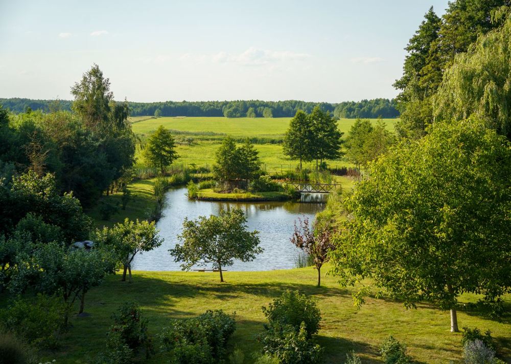 Rural farm pond surrounded by green fields and trees